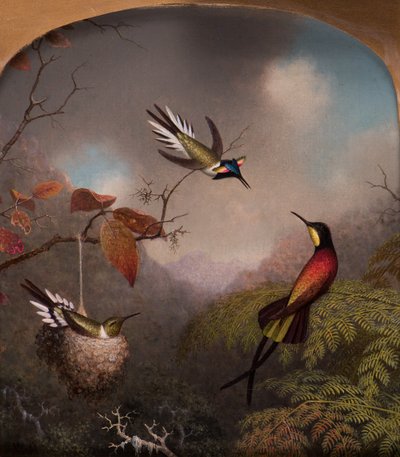 Colibríes: Dos "Sungems" y un "Topacio Carmesí", 1866 de Martin Johnson Heade